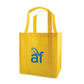 Enviro Sack Non-Woven Grocery Bag (12"x8"x13")